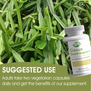 <span class=keywords><strong>Cissus</strong></span> QuadrangularisエキスカプセルOEM ODM売れ筋天然サプリメント - Product Image 4