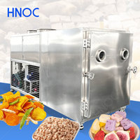 HNOC Industriële Hoge-Efficiëntie Yoghurt-Ei-Vriesdroogmachine Melkpoeder Vial Lyofilisatiemachine voor Vloeistoffen