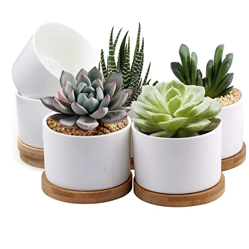 Groothandel Witte Porseleinen Bloempot Indoor Potpot Creatieve Pot