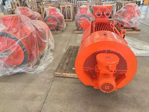 Pour <span class=keywords><strong>SEMC</strong></span> WEG pour ABB TECO siemens Regal Rexnord Vem Marathon Leeson moteur à Induction triphasé moteur électrique 100hp 150hp 200hp - Product Image 5