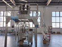 Machine d'emballage multi-têtes pour petits pains vapeur, boulettes de bœuf surgelées, siomai et autres garnitures en sachets