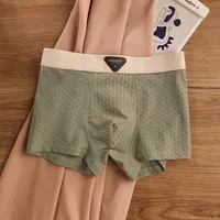 Sous-vêtements de sport antibactériens en soie glacée pour hommes, boxers, caleçons respirants frais, confortables, taille mi-haute, adolescents