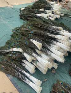 Premium Raw Peacock <b>Feathers</b> for Fashion Design Party Wedding Decor Stage Performance Home Decor Creative DIY Projects Soraj - Product Image 4