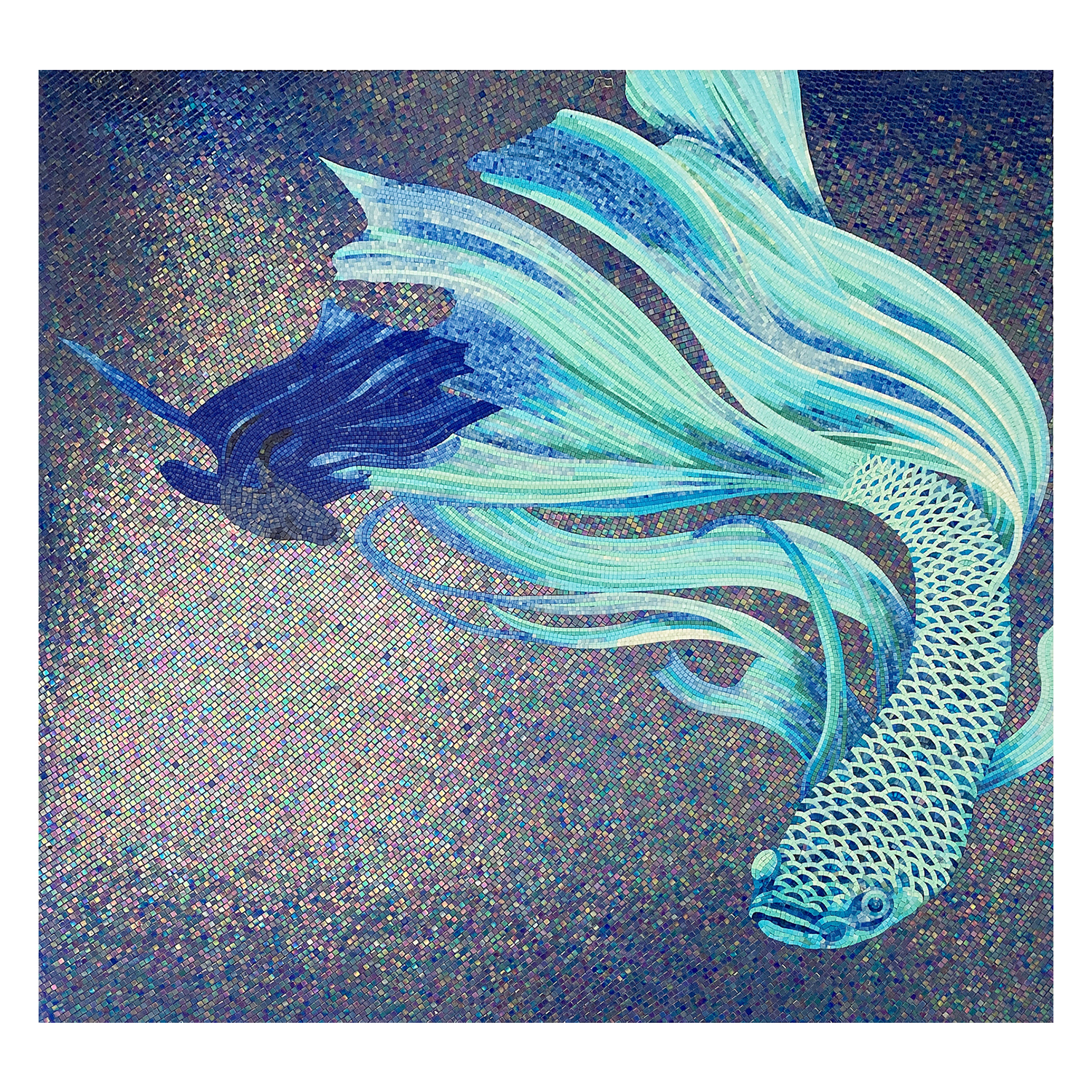 A-Poisson arc-en-ciel-D