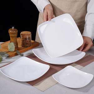 Platos de cena de melamina irrompibles de grado alimenticio de alta calidad <span class=keywords><strong>Buffet</strong></span> Catering Hotel juego de platos de <span class=keywords><strong>sushi</strong></span> blanco para restaurante - Product Image 1