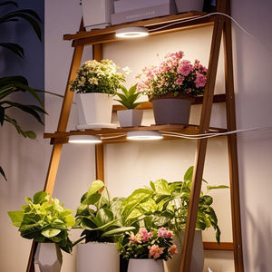 Lámpara <span class=keywords><strong>de</strong></span> Cultivo LED COB <span class=keywords><strong>de</strong></span> Espectro Completo Premium Angel Ring, Montaje en Techo, Regulable, Materiales <span class=keywords><strong>de</strong></span> Alta Calidad, Clasificación IP44, 5W, Aluminio - Product Image 1