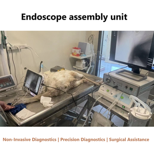 Vathin tek kullanımlık esnek veteriner endoskop bronkoskop tek kullanımlık Pet için esnek endoskop - Product Image 6