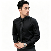 Chemise décontractée haut de gamme pour homme en popeline d'automne, sans repassage, respirante, écologique, à manches longues, col rabattu, avec logo brodé