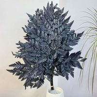 Vente chaude Conservé Feuille De Fougère Alpine Fougère Feuille Bouquet pour Vase Arrangement Décoration Compagnon Feuillage et Décor De Vacances
