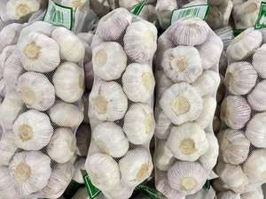 Aglio Fresco di Alta Qualità dalla Cina, Aglio Bianco Puro/Normale, Prezzo all'Ingrosso, Esportatore di Fabbrica - Product Image 2