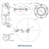Robot industriel BRTIRXZ1005A avec une portée de 2100 mm et une capacité de charge de 10 kg, adapté aux machines de pulvérisation