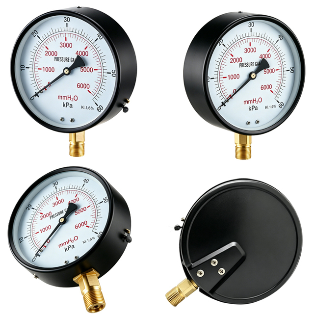Low Pressure Capsule Gauge 0 5psi 2in 1/4 NPT Back Mount Polycarbonate Window for Medical Labs Support Customization