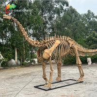 Réplique de squelette de dinosaure, dinosaure simulé pour parc à thème, os de dinosaure