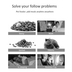 Tuya <span class=keywords><strong>wifi</strong></span> từ xa cuộc sống thông minh ứng dụng hai chiều âm thanh HD <span class=keywords><strong>Wifi</strong></span> Pet Giám sát <span class=keywords><strong>camera</strong></span> Dog Treat Dispenser - Product Image 2
