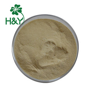 Polvo de Bromelina de Alta Calidad, Suministro de Fábrica, Polvo de Enzima Bromelina - Product Image 1