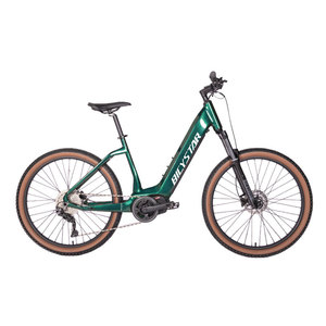 Hot New <span class=keywords><strong>2023</strong></span> vert ville électrique e vélo vélo électrique vélo de ville électrique 48v 250w pour hommes et femmes - Product Image 5