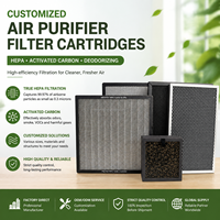 Filter Kartrid Pemurni Udara Karbon Aktif Berbagai Jenis yang Dapat Disesuaikan, HEPA Efisiensi Tinggi untuk Penghilang Bau yang Kuat