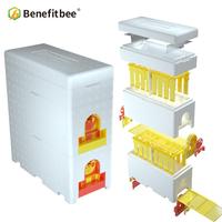 Avantage abeille propre conception en plastique ruche reine abeille accouplement boîte mousse abeille ruche mini ruche boîte
