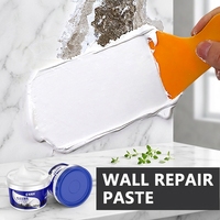 Pâte de réparation murale imperméable, mastic mural blanc inodore, anti-moisissure et anti-efflorescence, répare les murs qui se décollent et se déchiquètent