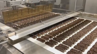 Machine automatique de fabrication de chocolat multi-formes, ligne de production de chips, de pépites et de barres, prix usine, machine alimentaire pour snacks