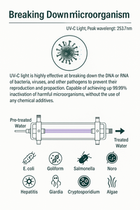 Ballast <span class=keywords><strong>UV</strong></span> Yake/Carnation XH-AH-4W/6W certifié CE (LVD EMC) 1 an, lampe à amalgame basse pression pour traitement de l'eau, 220-240V - Product Image 5