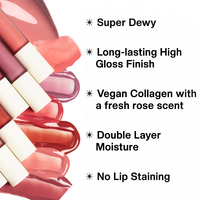 Gloss humide non collant de marque privée en gros, brillant à lèvres hydratant et enrichissant pour les lèvres sont plus pleines et hydratées