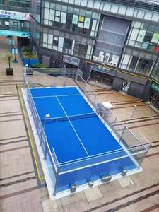 Pista de Pádel Profesional para Interiores y Exteriores, Equipo de Tenis de Alta Calidad para Uso Comercial, ENO-PDC1 ENO - Product Image 4