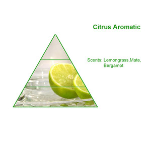 Kaktus Taman desainer mewah minyak parfum tahan lama konsentrasi tinggi pewangi Arab gratis sampel - Product Image 2