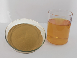 Extrait de fines herbes Extrait de busserole Acide ursolique <span class=keywords><strong>Arctostaphylos</strong></span> Uva-ursi - Product Image 3