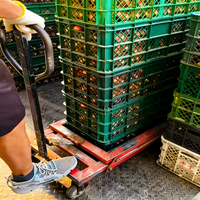 Chariot de manutention de caisses de légumes en acier inoxydable à quatre roues, grande capacité, pour terrains accidentés, plateforme portable pour ferme et boue