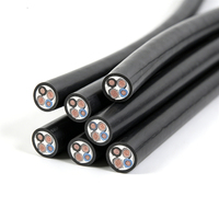 Direkt ab Werk Beliebtes 2-adriges 4mm² RVV PVC-Ummanteltes Flexibles Kabel Hochleitfähiges Kupfer Hitzebeständiges Kabel für die Industrie