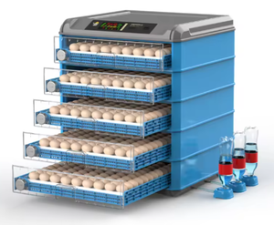 Incubateur à œufs pour 70 œufs, conçu pour les exploitations agricoles à domicile, contrôle précis de la température, taux d'éclosion jusqu'à 98% - Product Image 4