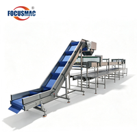 Convoyeur horizontal à bande plate à double couche Focus Machinery pour tri de produits ensachés et emballage en carton, ligne OEM