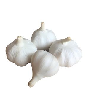 Jining <span class=keywords><strong>Ail</strong></span> Frais Nature Garlic10kg/carton Lâchement 5.5cm Exportation <span class=keywords><strong>Afrique</strong></span>, Amérique <span class=keywords><strong>du</strong></span> <span class=keywords><strong>Sud</strong></span>, Moyen-Orient - Product Image 2