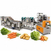 Machine d'emballage de légumes à coussin d'air, Laveuse de légumes à bulles d'air, Équipement de nettoyage pour pommes de terre, carottes, laitues, choux