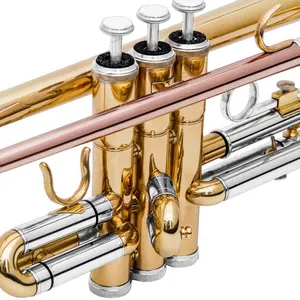 Custom Trombe marche vento strumento musicale tromba bb principiante trombe brass band laccato oro