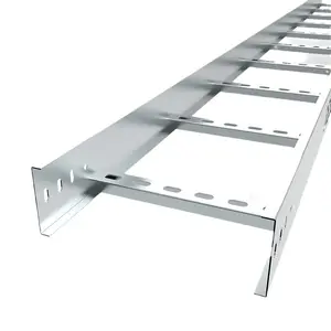 Light Duty Zinc Coated Steel Hot-Dipped Galvanized Cable Ladder Tray Sizes Brackets Price List Producer Supplier in China