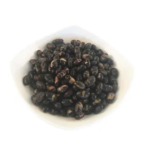 Gesalzene geröstete schwarze Bohne von Youi Foods