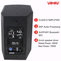 VAMAV NOVA TX8 Enceinte active pleine gamme 350W RMS 8'' en bois avec poignées de transport Bluetooth pour concerts, bars et DJ