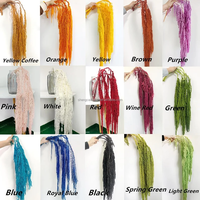 Décoration murale Amaranthus Bundle Long Préservé Fleurs et Plantes Réel pour la Maison ou les Arrangements de Tous les Jours Suspendus Décor Intérieur