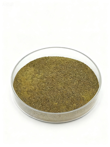 Extrato de Folha de Amoreira 4:1 em Pó para Suporte ao Metabolismo da Glicose, Matéria-Prima a Granel, COA Disponível, Prazo de Entrega Rápido, Validade Prolongada - Product Image 4