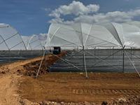Grande serre de stockage, utilisée pour la culture hydroponique de tomates agricoles, en acier et en plastique.