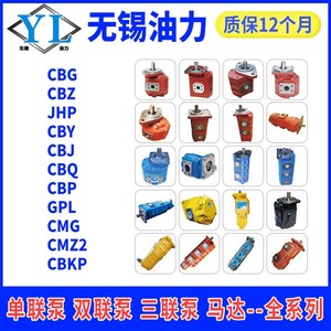 Bomba de Engranajes de Refuerzo Sichuan Changjiang Modelo CBY2010-1TR CBY2025-1FR CBY2032/2016/2040 Nueva Condición - Product Image 5