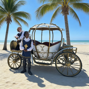 Nuevo lanzamiento para eventos especiales: Limusina turística estilo inglés, carruaje real con caballos - Product Image 3