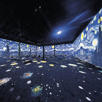 Projection laser interactive Immersive de mur/plancher de grand écran pour l'exposition
