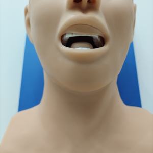 Nouveau modèle de formation d'intubation des voies respiratoires trachéales orales et nasales humaines électroniques de science médicale avancée avec alarme de pression dentaire - Product Image 4