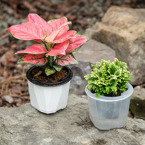 Pot de fleurs hydroponique en plastique C307, pot de fleurs transparent à arrosage automatique, pot de fleurs auto-arrosant paresseux - Product Image 4