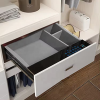 Coffre-fort intelligent ROEASY avec serrure à code numérique, tiroir numérique, coffre-fort de tiroir numérique avec écran tactile et mot de passe