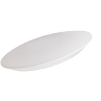 Lámpara de Techo LED Delgada Ovalada de ABS y PC con Temperatura de Luz Constante para Habitaciones de Hotel e Iluminación Interior