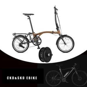 Cina mini e bike 250W 36 48V tri ebike pieghevole bicicletta elettrica da 16 pollici con shimano 5 velocità